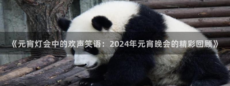 360无插件直播体育直播：《元宵灯会中的欢声笑语：2024年元宵晚会的精彩回顾》