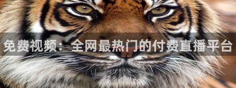 360直播低调看球：免费视频：全网最热门的付费直播平台
