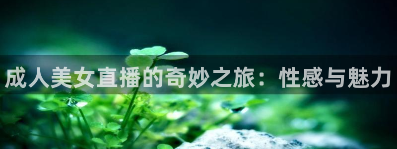 360体育直播.：成人美女直播的奇妙之旅：性感与魅力