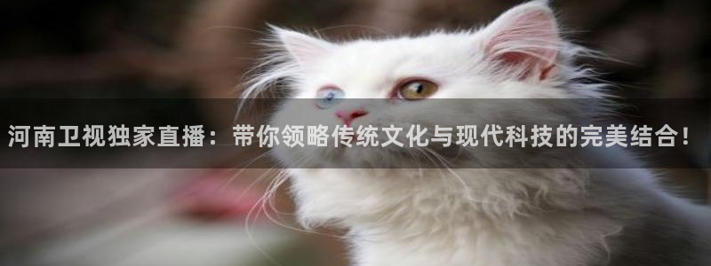 360风云足球直播：河南卫视独家直播：带你领略传统文化与现代科技的完美结合！