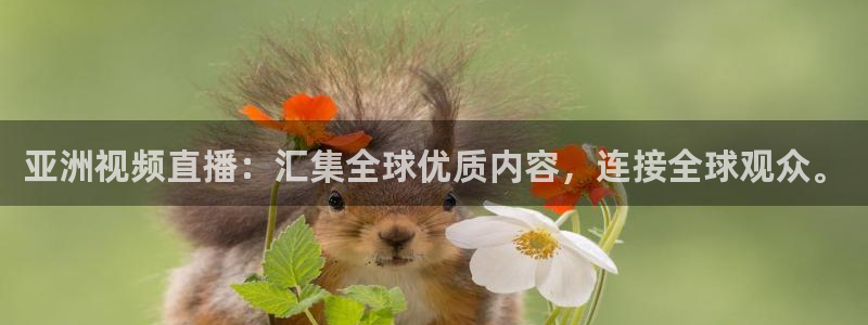 360体育在线直播观看：亚洲视频直播：汇集全球优质内容，连接全球观众。