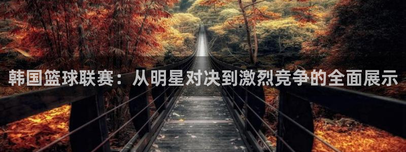 360吧体育直播下载：韩国篮球联赛：从明星对决到激烈竞争的全面展示