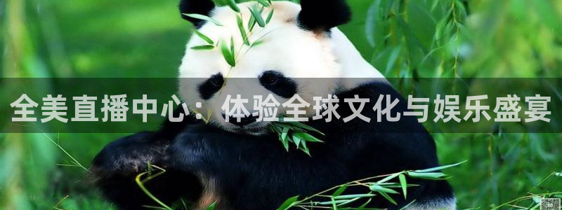 360免费直播超清 看球吧：全美直播中心：体验全球文化与娱乐盛宴