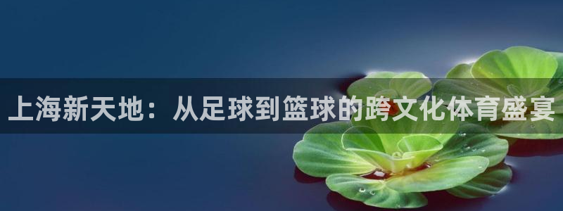 雨燕360体育直播在线观看：上海新天地：从足球到篮球的跨文化体育盛宴