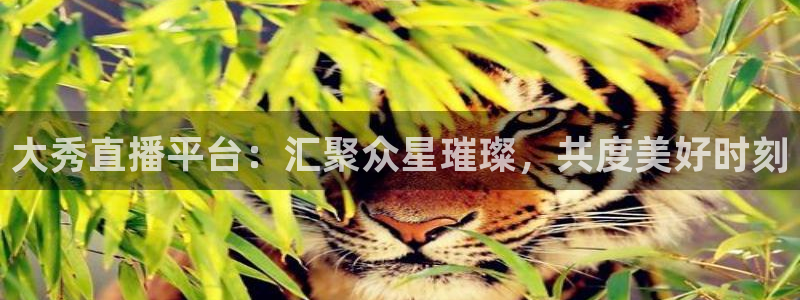 足球直播360直播频道：大秀直播平台：汇聚众星璀璨，共度美好时刻