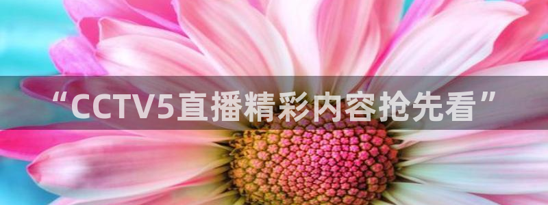 360体育直播英超：“CCTV5直播精彩内容抢先看”